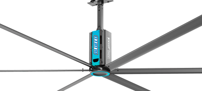 KING SERIES 18FT - BLUECO 