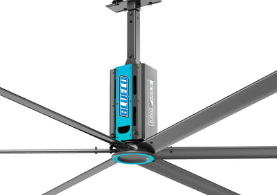 KING SERIES 18FT - BLUECO 