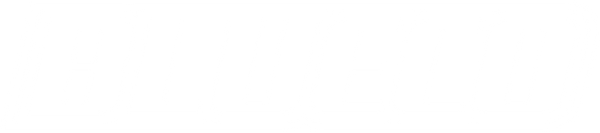 BLUECO logo